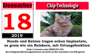 22-2019-1218-Bild-11_Kopie